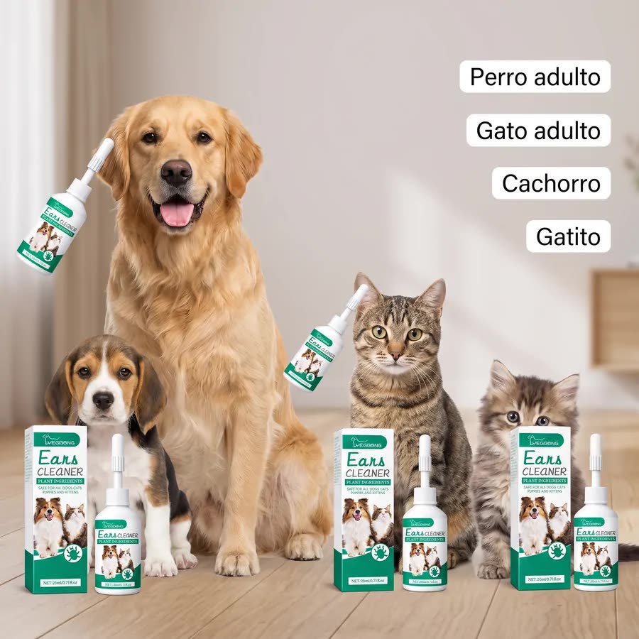 Perros, gatos y sus crías
