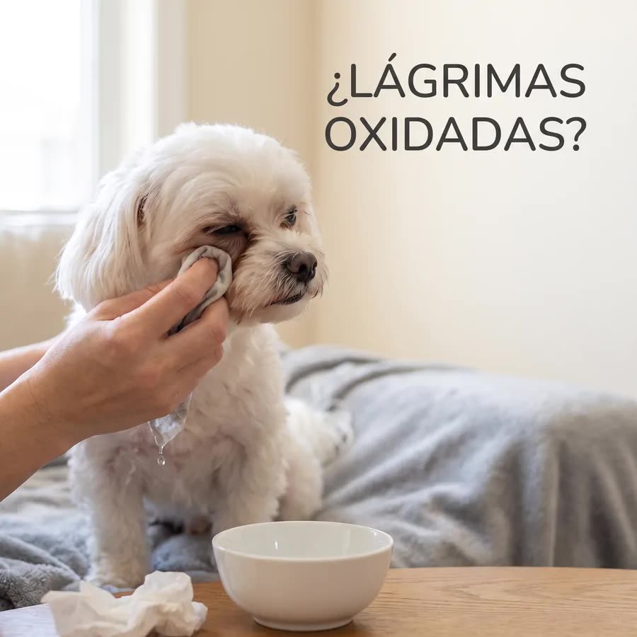 Las manchas cafés arruinan cada foto